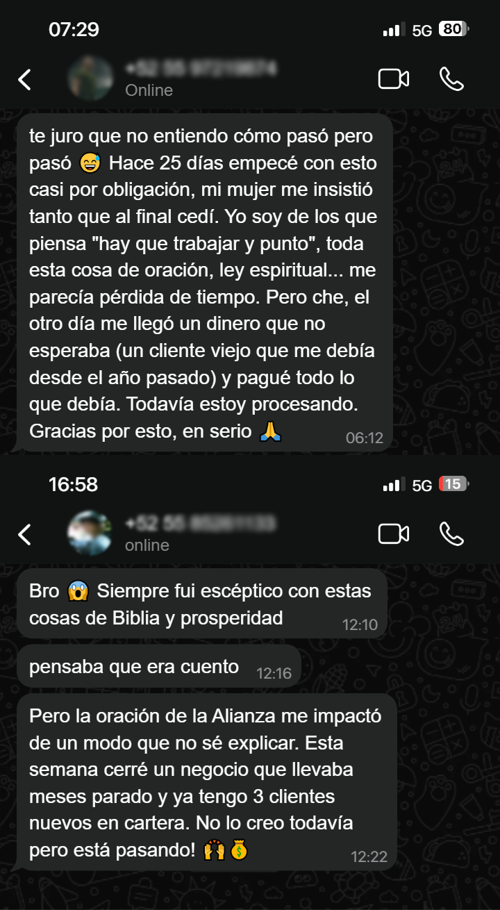 Testimonio de WhatsApp sobre resultados de abundancia